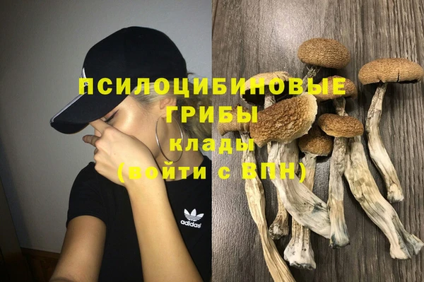 соль курить ск Белокуриха