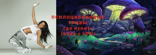 соль курить ск Белокуриха