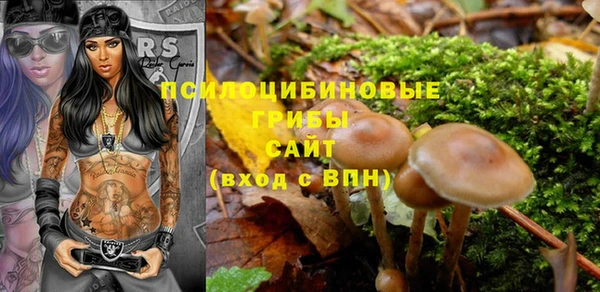 спиды Белоозёрский