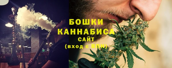 мдпв Бородино