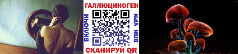 Купить  Нея  Псилоцибиновые грибы GOLDEN TEACHER 